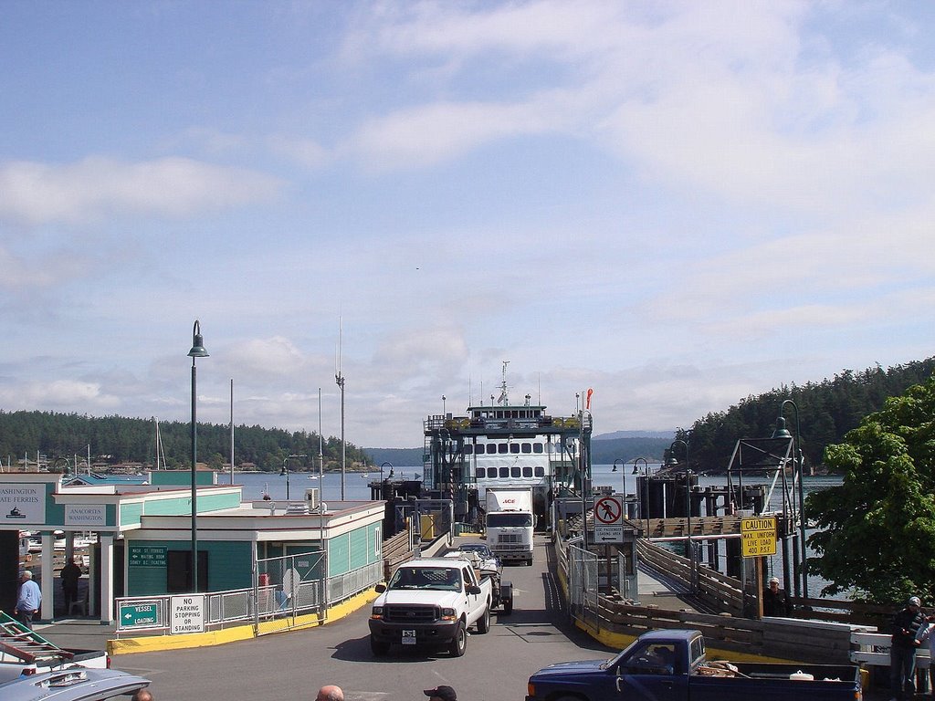 Friday Harbor by Enikő Torneby