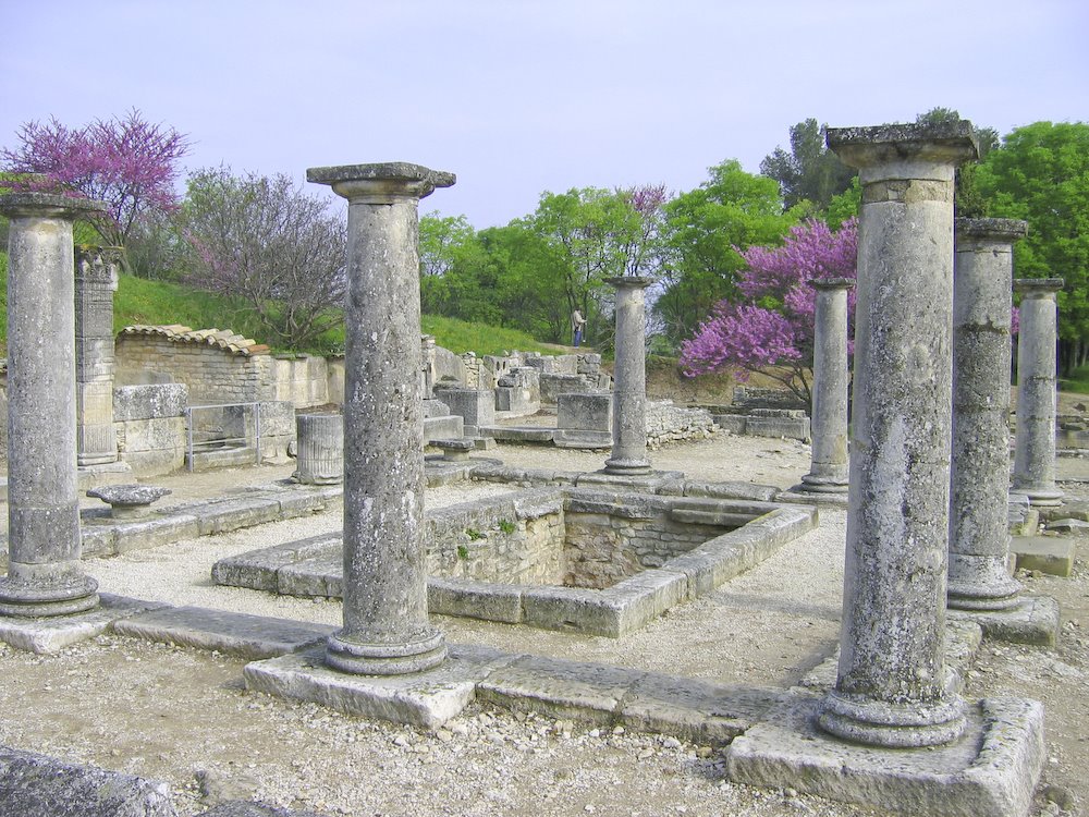 Site archéologique de St Rémy de provence by Loïc P.