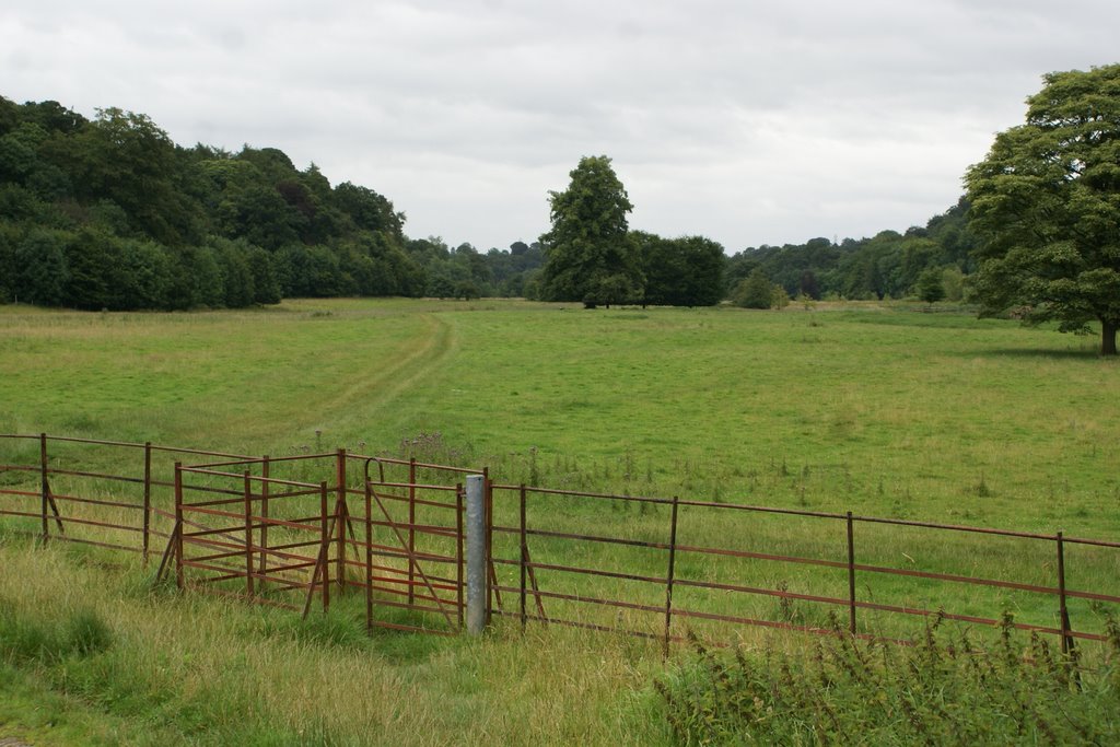 View across the fields by John Mulder