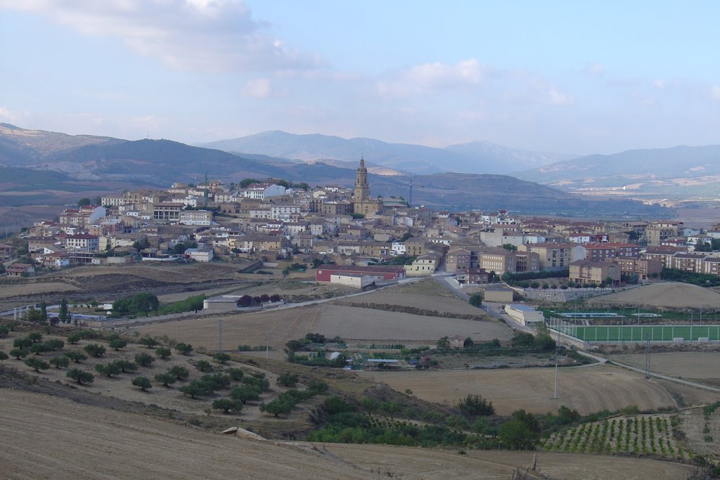 Panorámica de Mendigorría by amurortiz