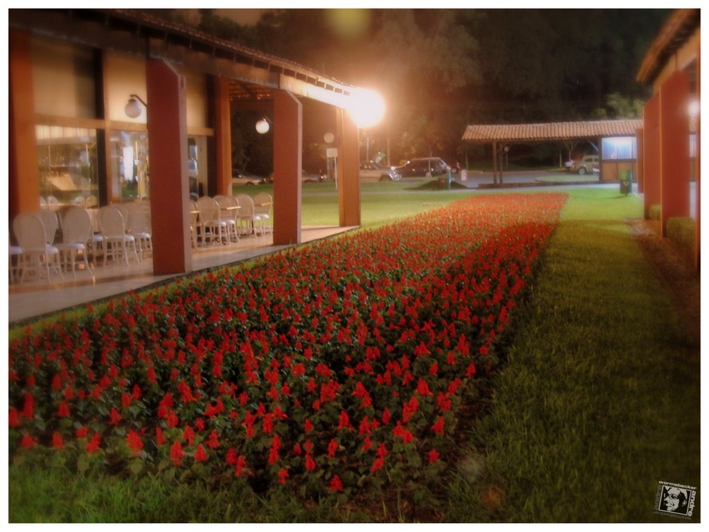 Maggiore Restaurante, Parque Barigüi by Andre Wormsbecker