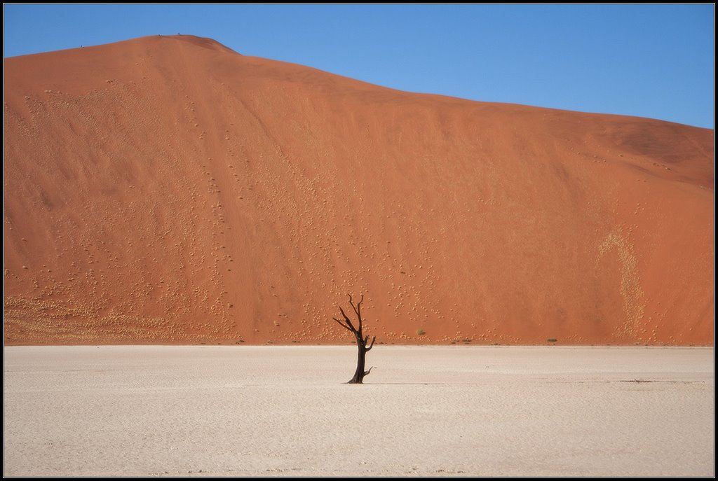 Solitude by Oleg Domalega