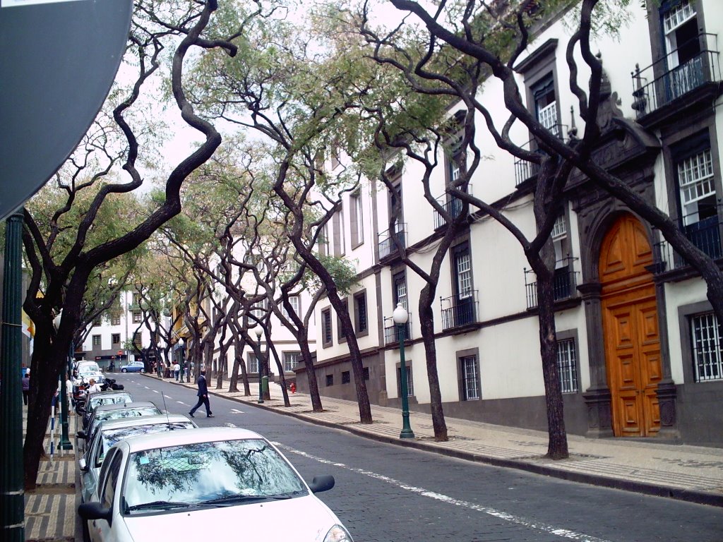 São Martinho, Funchal, Portugal by rosieb