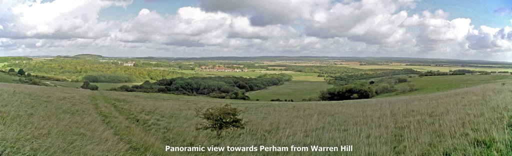 Panorama from Warren Hill towards Perham by Collin West