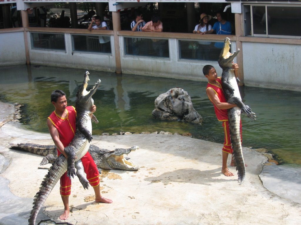 Crocodile show by edgar bangkok  2