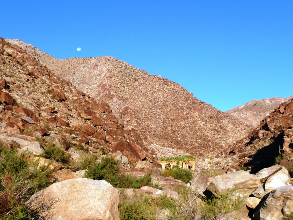 Daytime Moon over Palm Canyon, Anza Borrego, Ca. by djbouqu