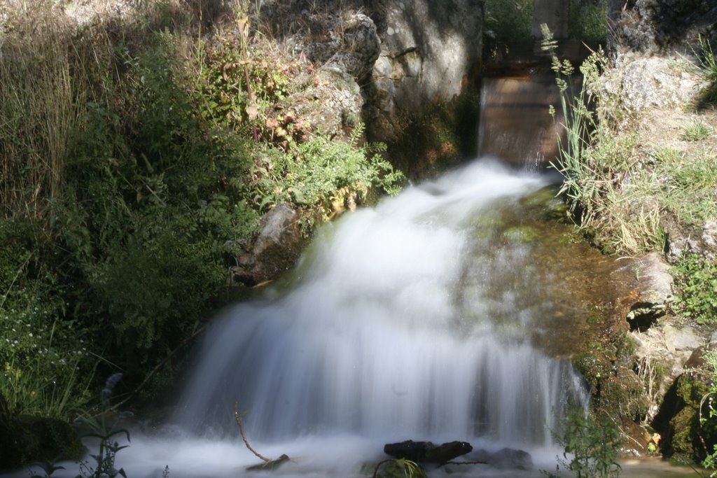 Impresionante caudal de agua que surge de la fuente del Río Segura by mibufete1