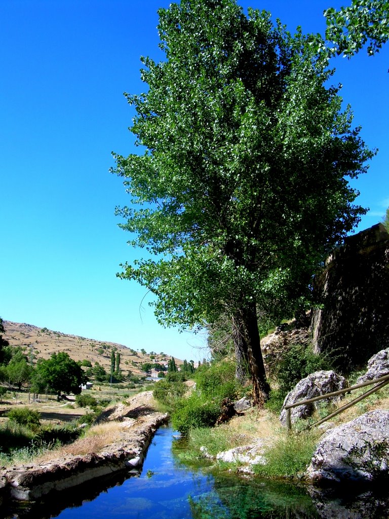 Nacimiento del Río Segura by mibufete1