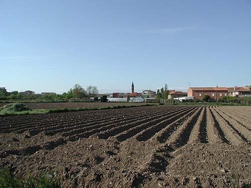 Campo de Hospital by Microleon