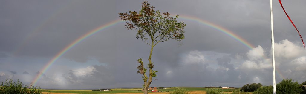 Rainbow by robian