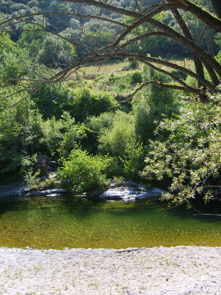 L'Hérault (3), Juillet 2009 by hemogk