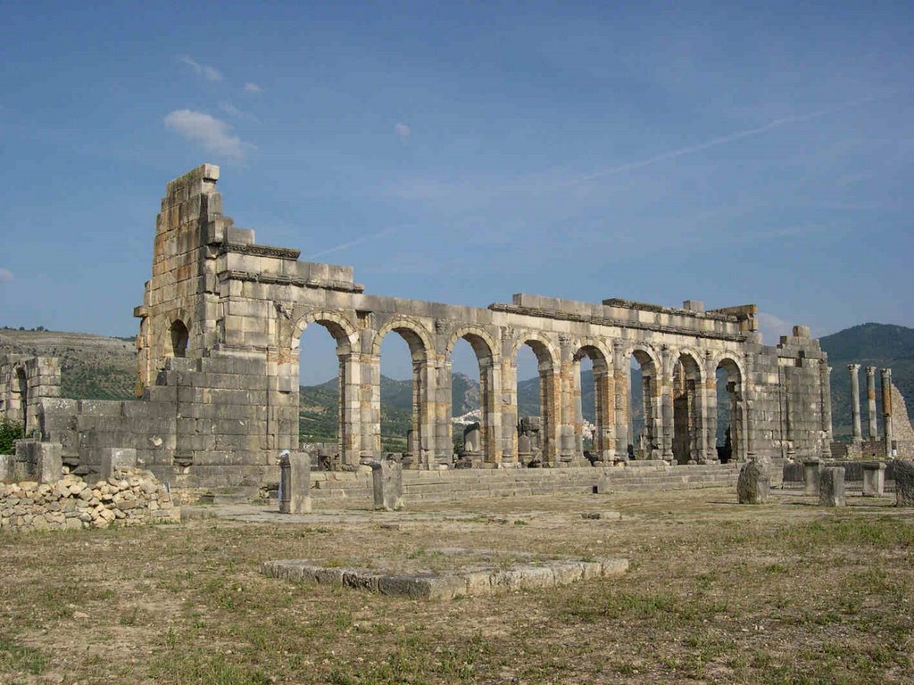 Volubilis by Isabelle Bertrand