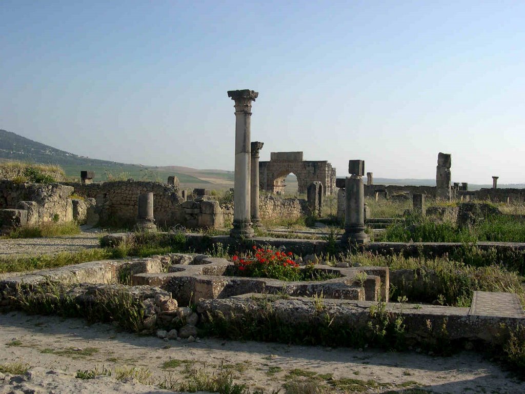 Volubilis by Isabelle Bertrand