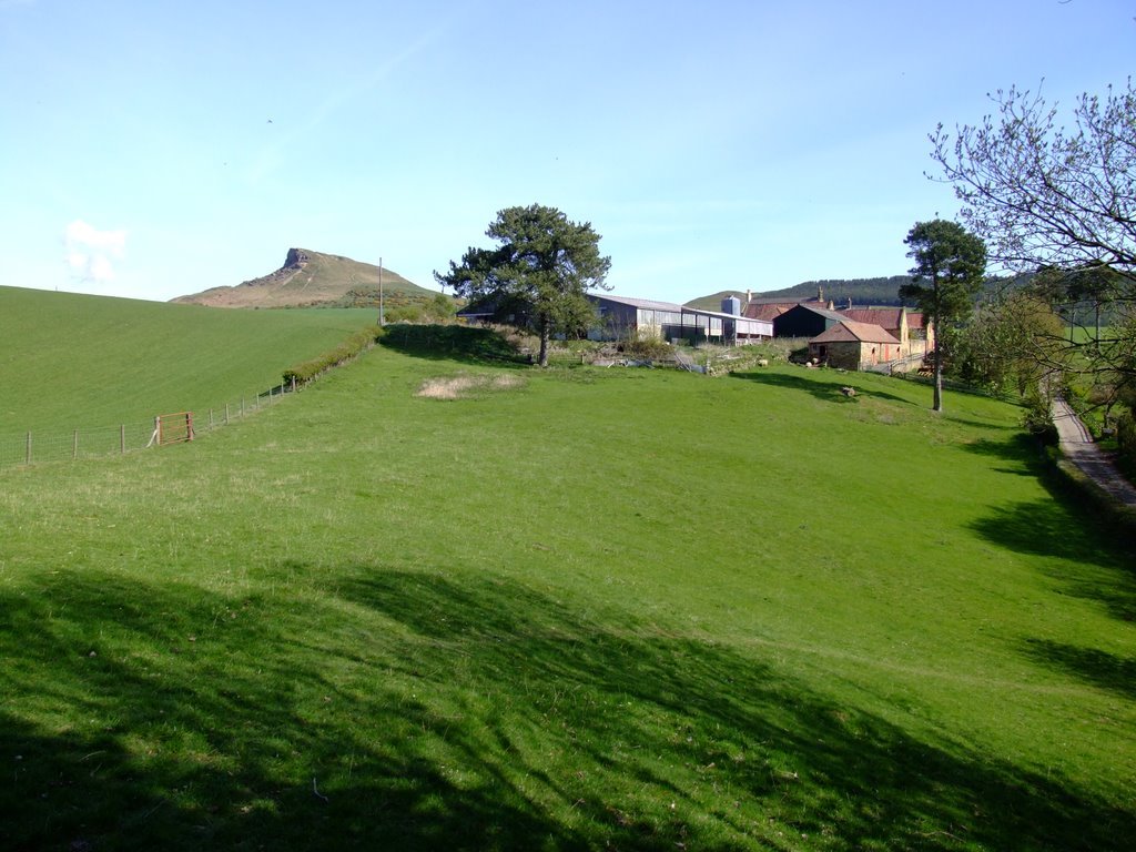 Roseberry Topping with Aireyholme Farm in the foreground. by paulb1257