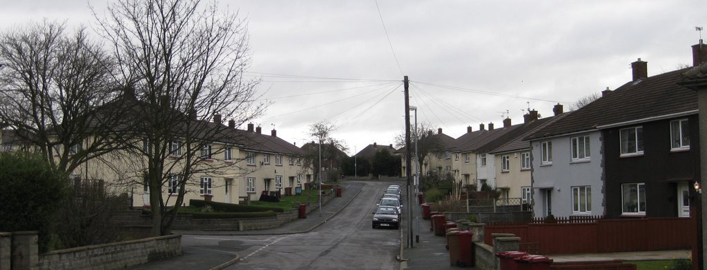 Merlin road by billshutt