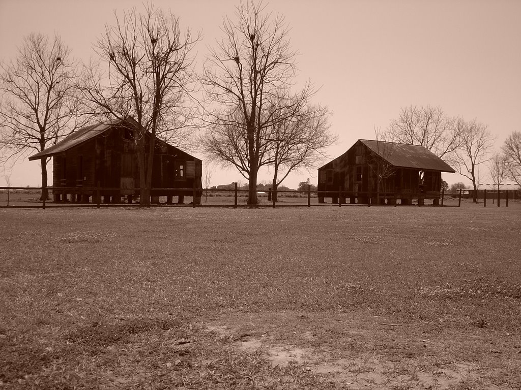 Laura Plantation Louisiana by AndyConrad