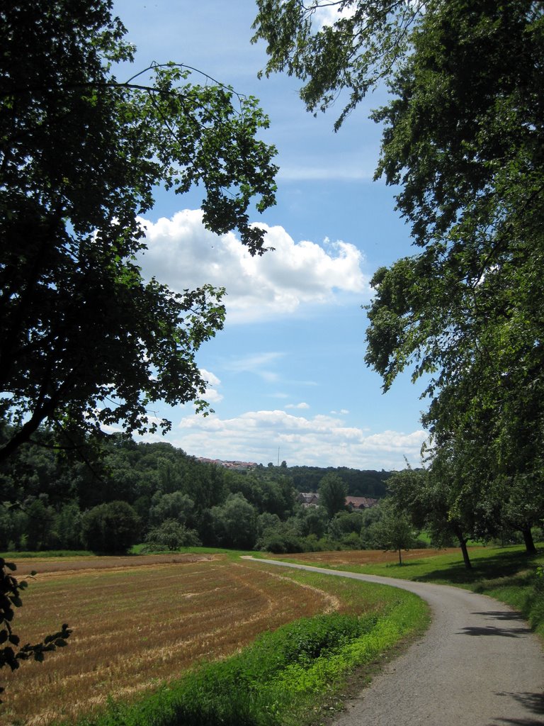 Am Unterlauf des Wüstenbachs, Blick auf Burgstall by Kockelkörnchen