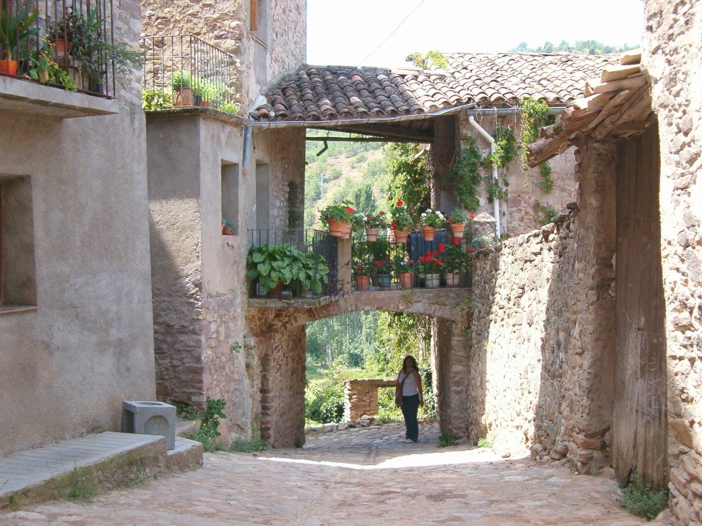 Bonica casa de la Pobleta de Bellvei by sagarra