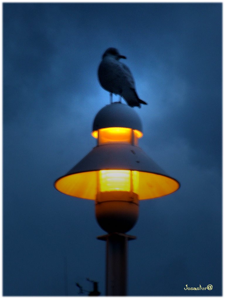 La Farola del Puerto.. Jijón ( Asturias ) by josastur