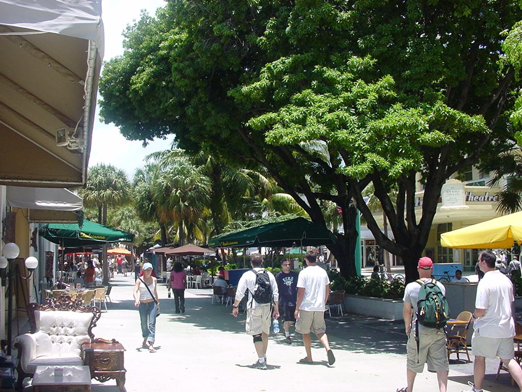 Lincoln Road by Alistair Cunningham