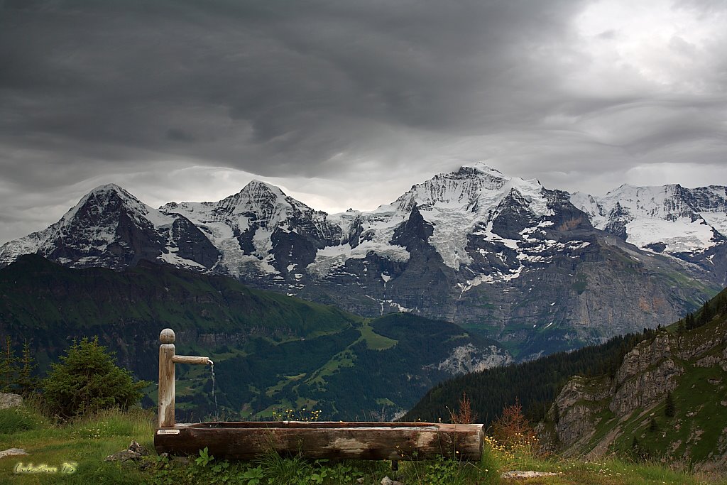 Macizo de la Jungfrau by Txema Bacaicoa