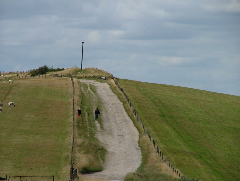 Inkpen Hill - Wayfarers walk - View to Combe Gibbet by SBower