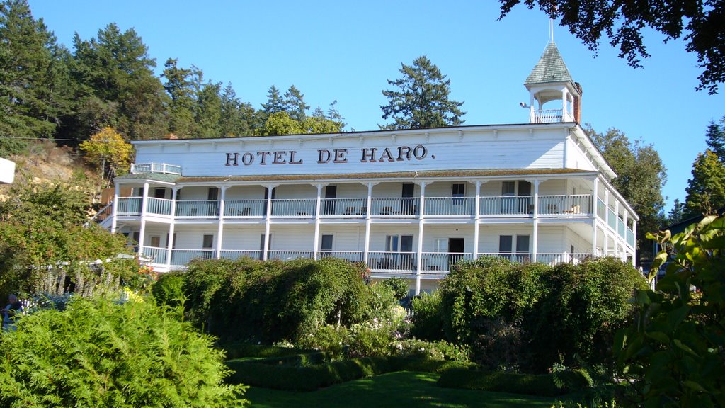 Hotel de Haro by cvj