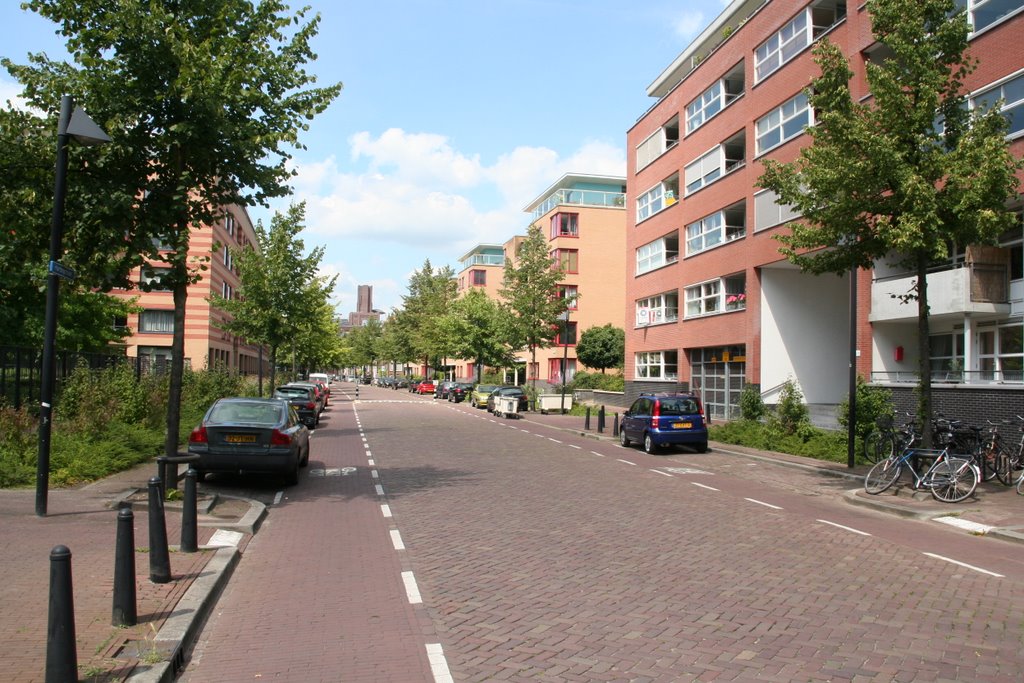 Hartingstraat richting de inktpot by Carl030nl