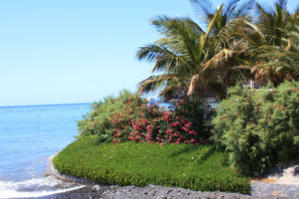 SAN SEBASTIAN DE LA GOMERA by Paco Roldán Arjona