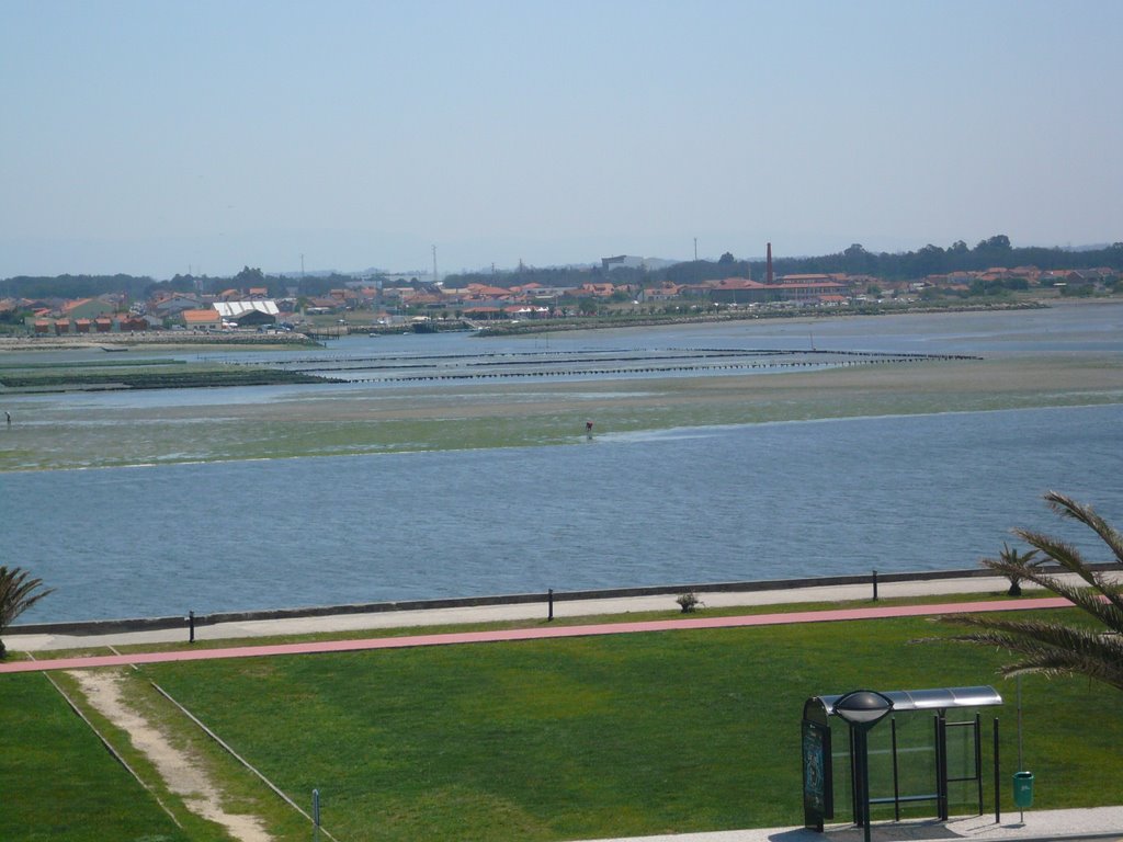 Vista sobre a ria de aveiro by jos