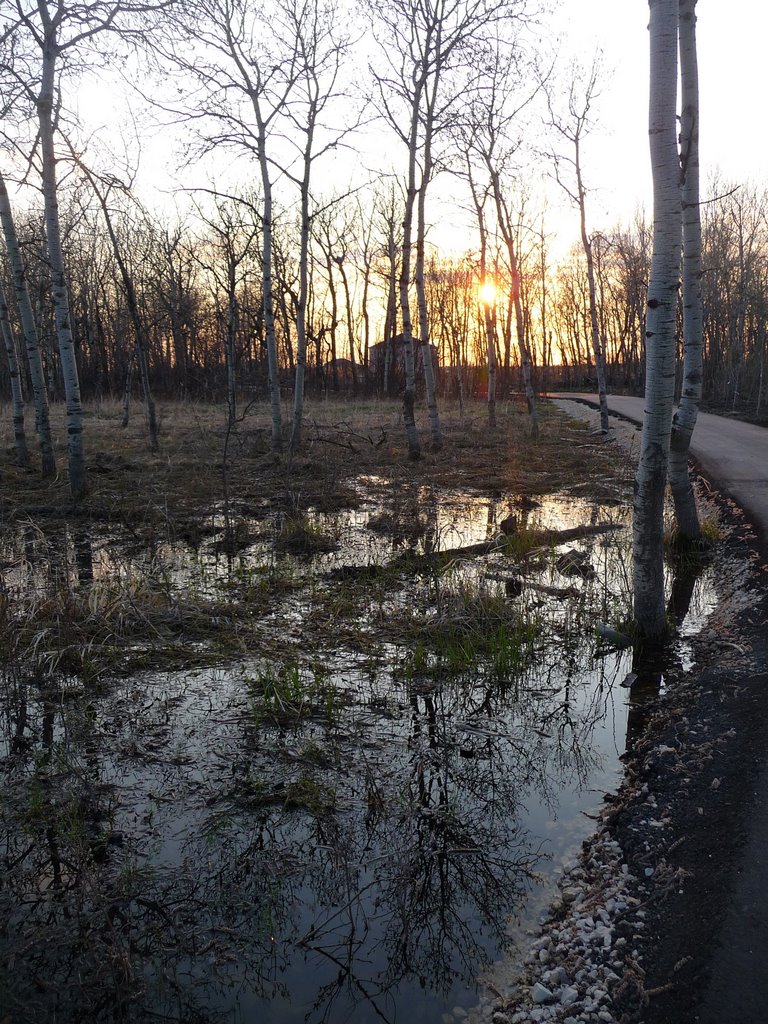 Bike trail in Waverley West by marqueemoon