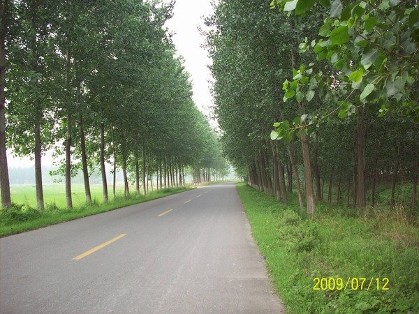 Little country road in huangwei town by Arlancher