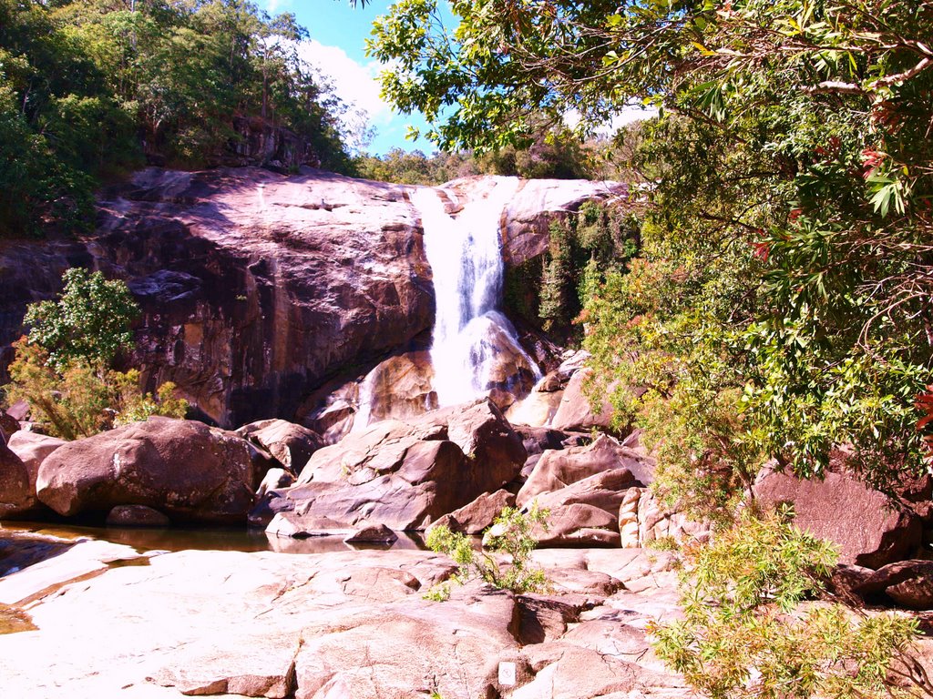 The Murray Falls At Tully by Dennis Paul Griffiths