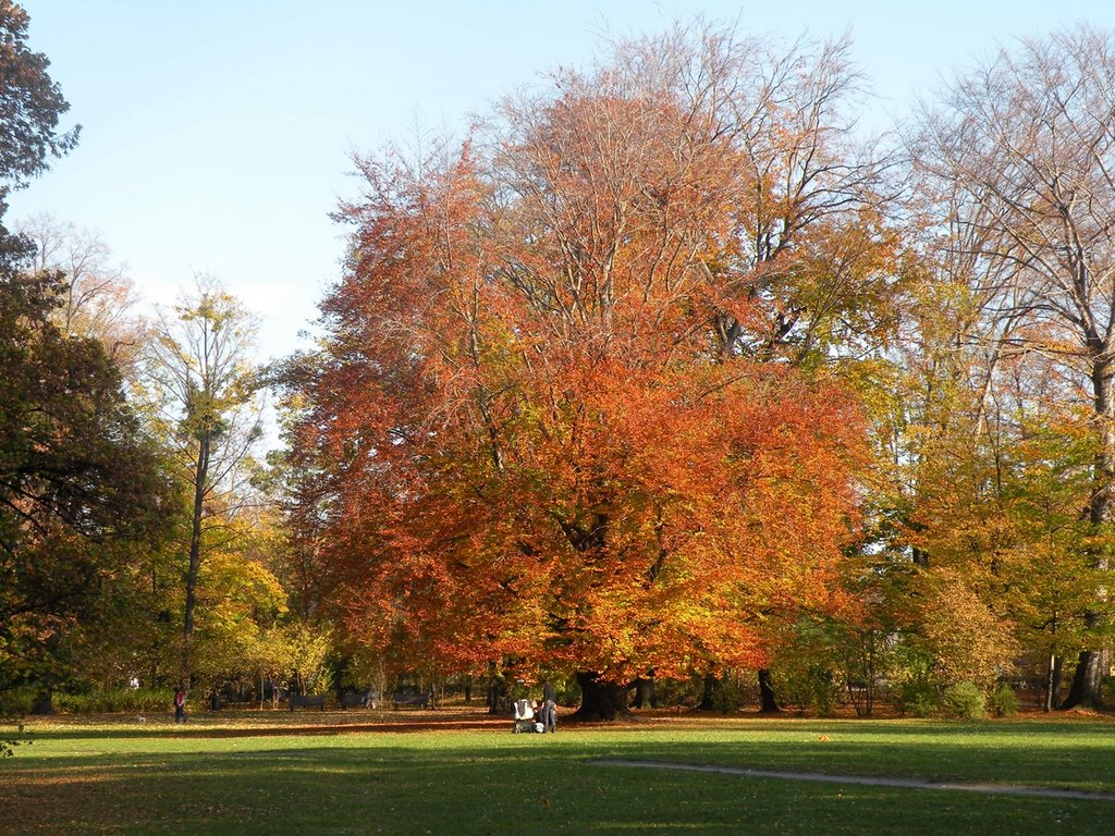 Park jesienią. by Andrzej Michał Mikuł…