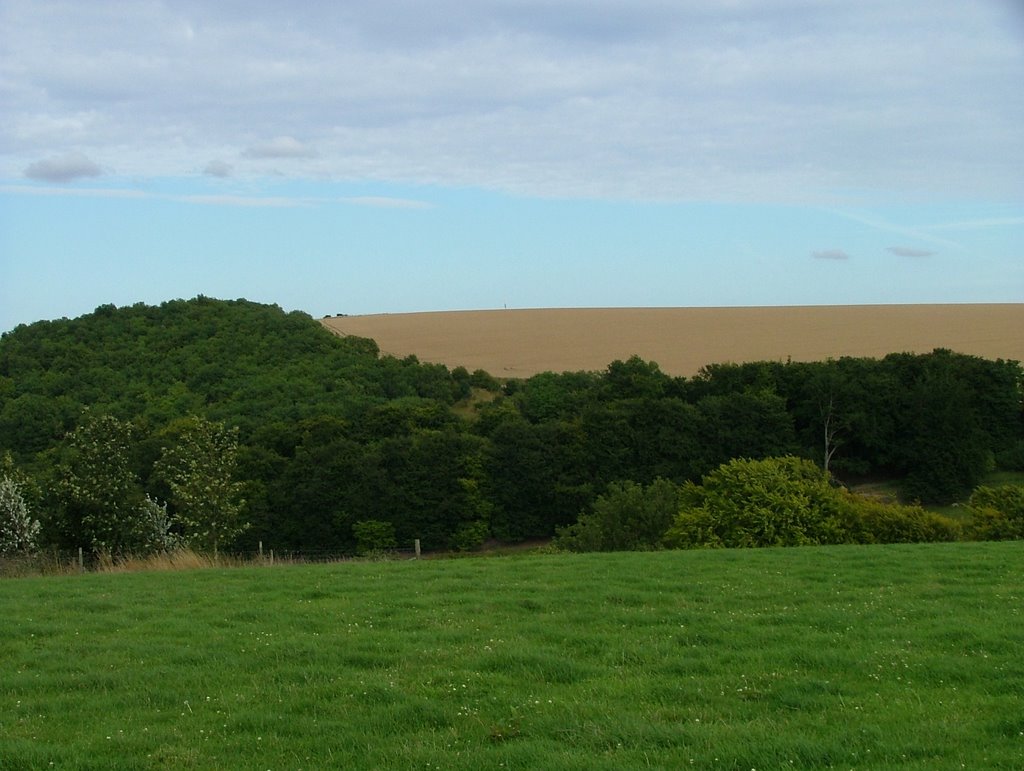 Downs above Sydmonton by SBower