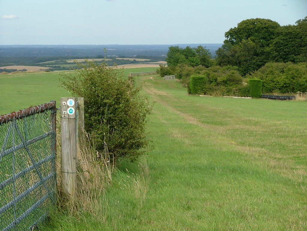 Downs above Kingsclere by SBower