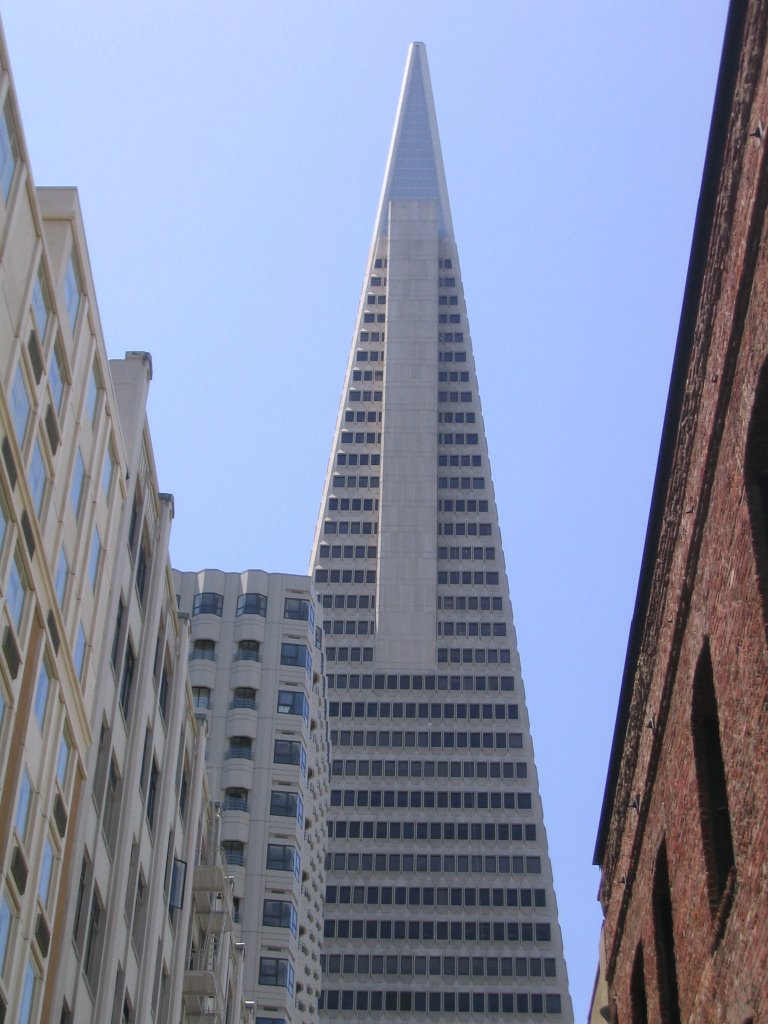 San Francisco TransAmerica building by Rick Foth