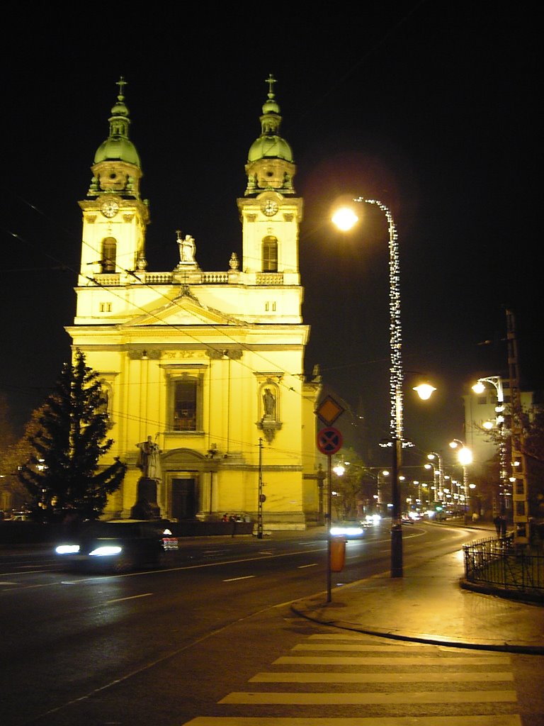 Church in Budapest by Virgil Cheles