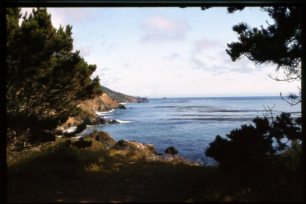 Pazifikküste bei Monterey, Jul 1982 by Manuel Beckmann