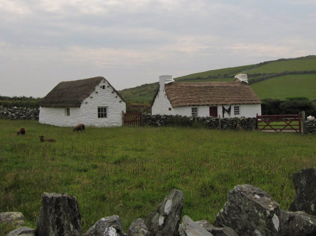 Cregneash Village by Tony Archibald