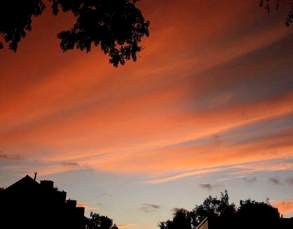 Nature vrieslucht 2008 by Fotograaf Jan Gort Klazienaveen Emmen