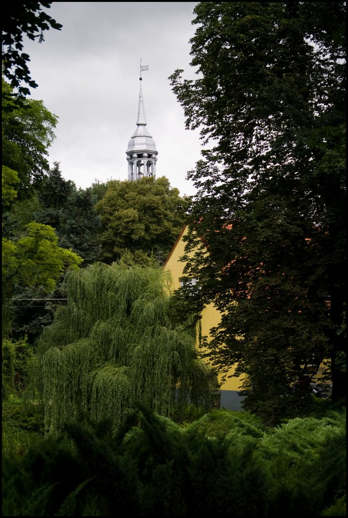 Klasycystyczno-rokokowy pałac kasztelana płockiego, Bogdana Mostowskiego oraz park-gb-21 by millotaurus1