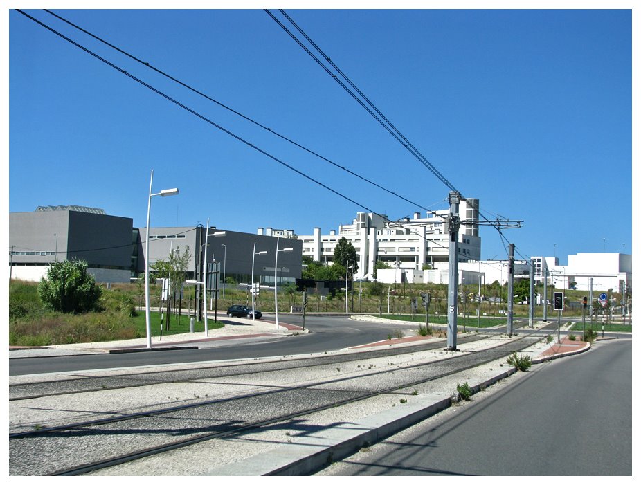 Monte da Caparica by Barragon