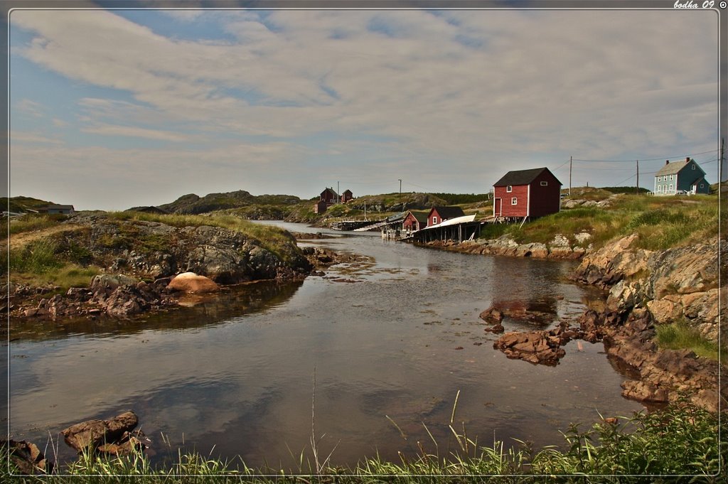 Canada-Newfoundland-Change island-the end of the road by bodha