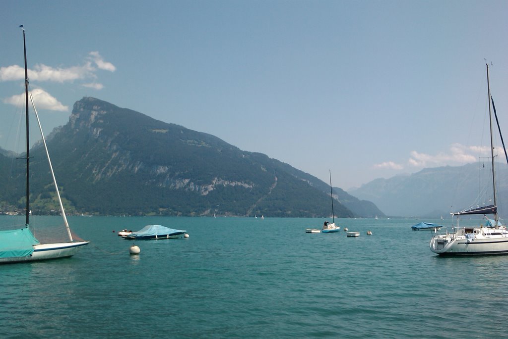 View from Restaurant Hecht in Faulensee by Thomas Waegli