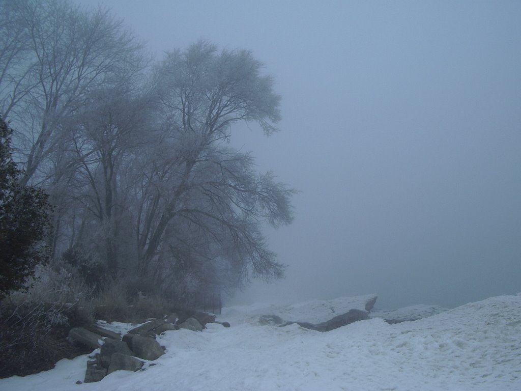 Ice fog at Pickering Beach Park, Ajax by natejenkins