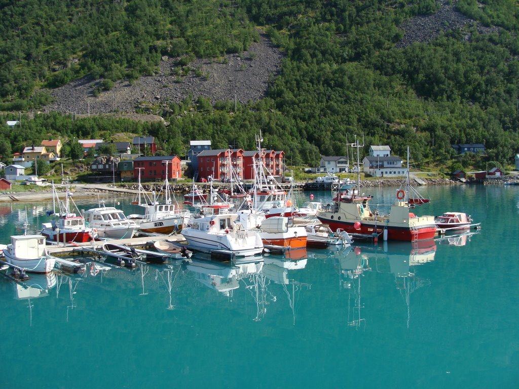 Øksfjord habour by Frank M. Ingilæ