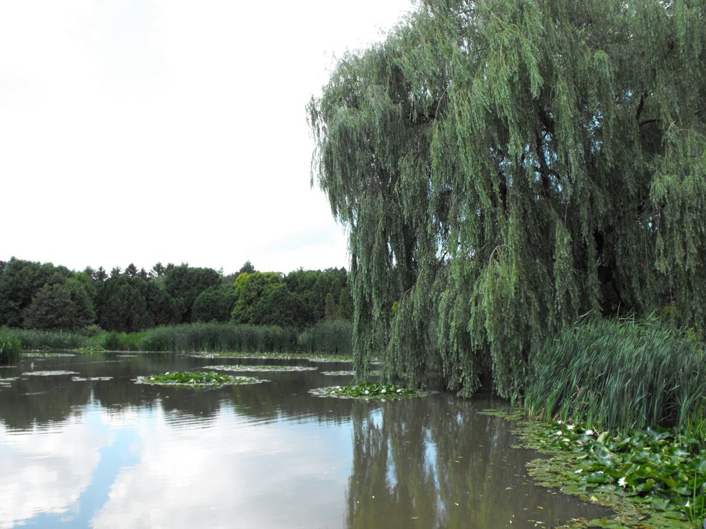 Montreal Botanic Garden by pegase1972