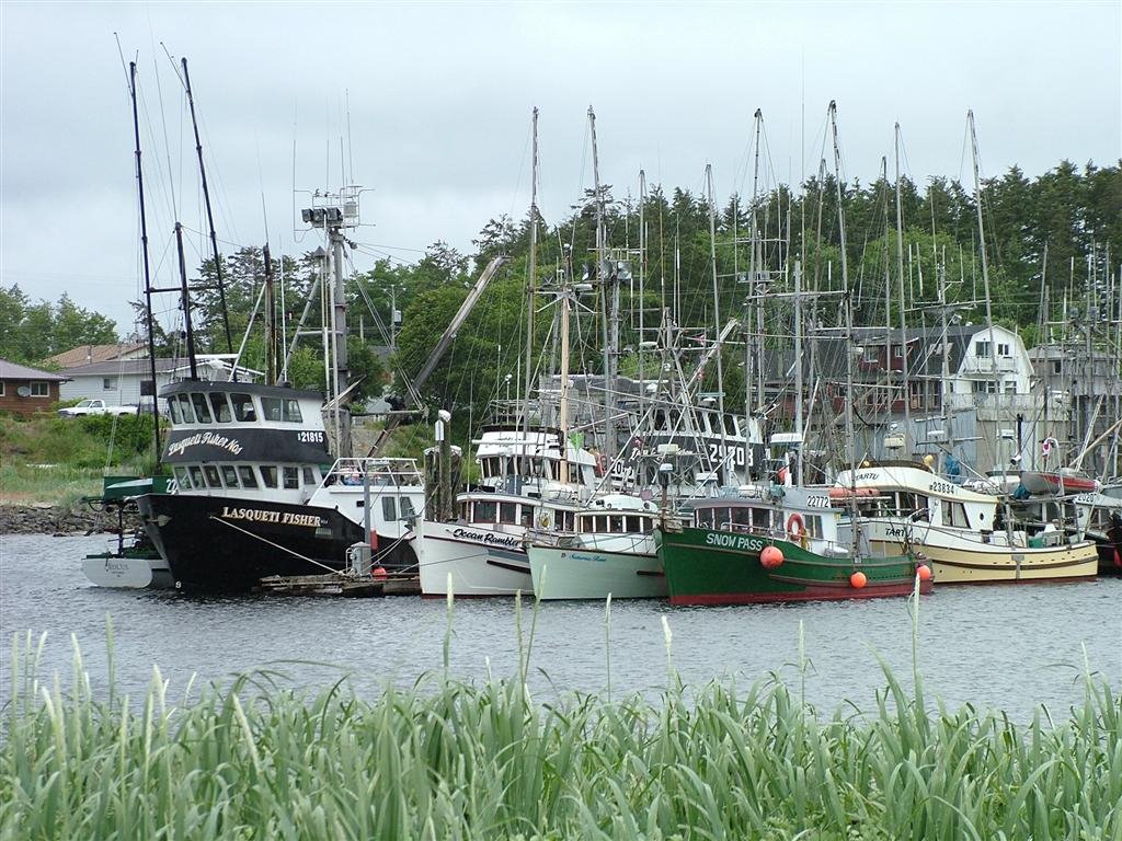 Masset Boat Harbour by archievideo