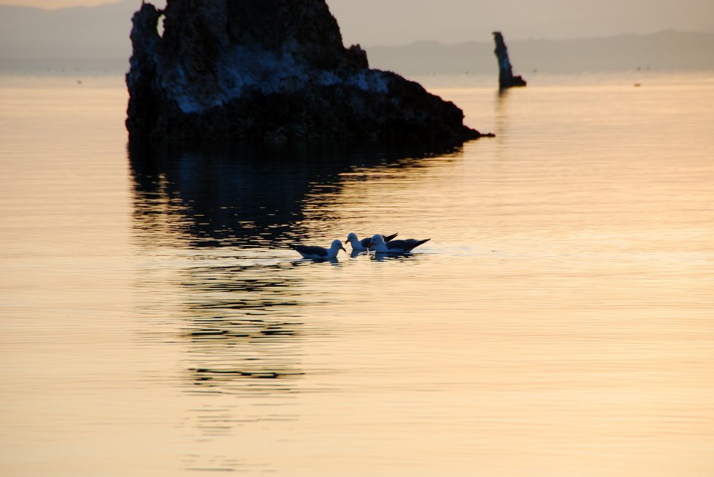 Sunrise at Mono Lake 6 by Maribel Montero